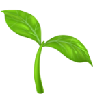 Decorative plant icon